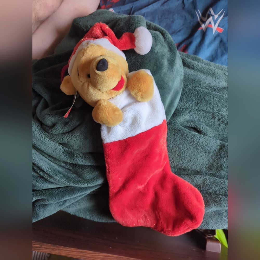 Vintage Winnie the Pooh stocking plush